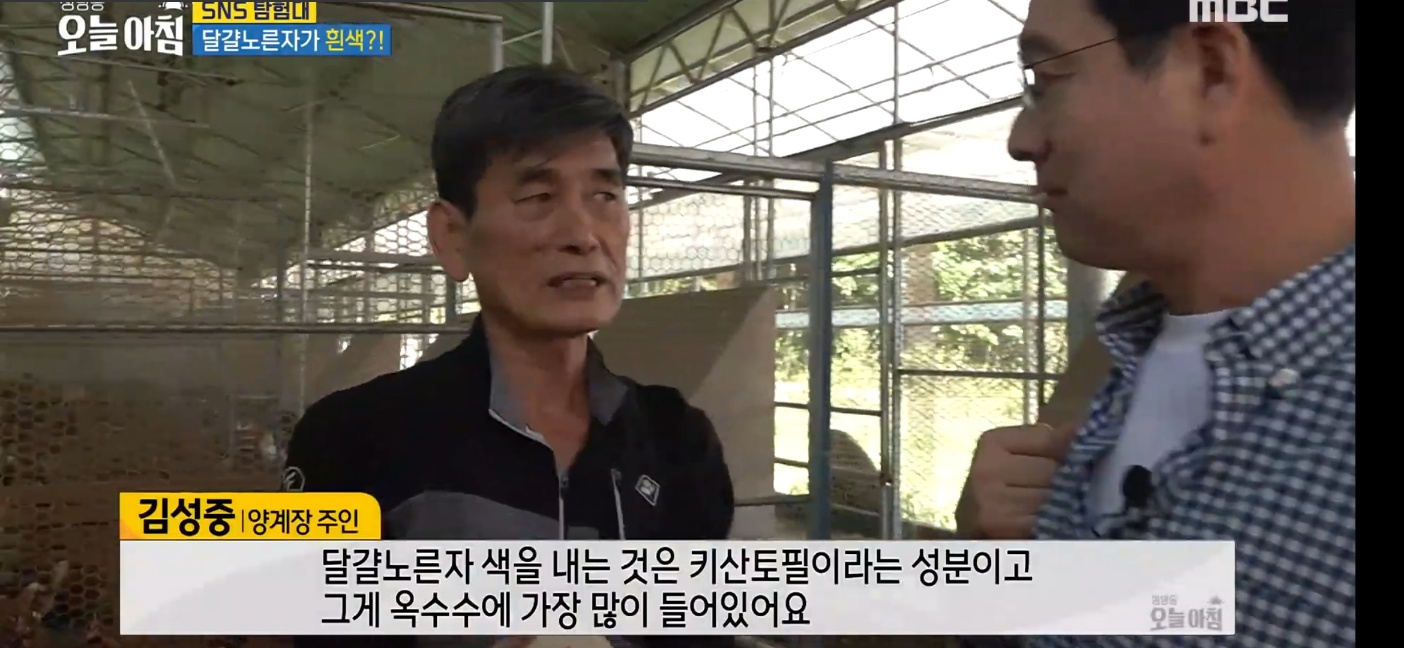 유나네자연숲농장 이미지 2